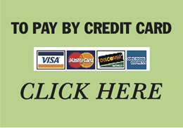 Pay by
                    credit card